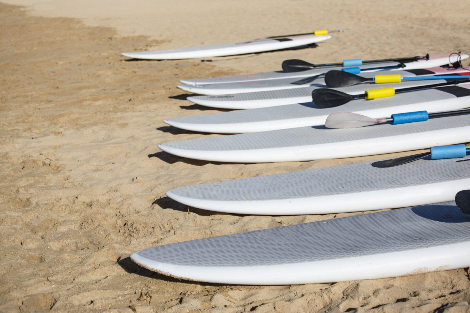 Paddleboards and paddles on sandy beach.